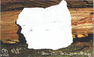 
            Taschenkunst 
            