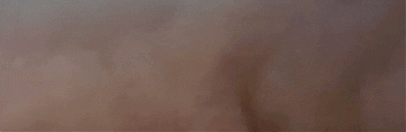 
            Sturmgif
            