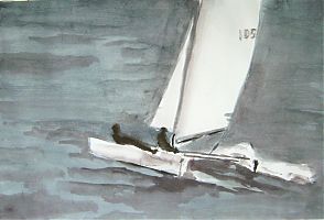 racing catamaran