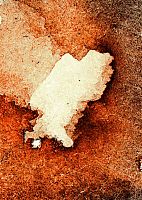 Artefakt Blatt 31.1 Giclée Print 