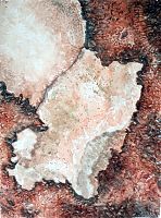 Artefakt Blatt 31.1 aus dem blauen Skizzenbuch